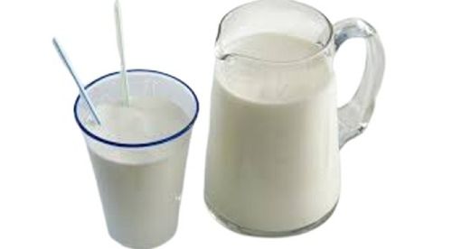 Nutrients Healthy High Protein Fat Contained Natural Fresh and Pure Dairy Cow Milk