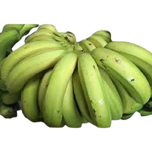 Easy To Digest Tasty And Healthy 100% Natural Fresh Organic Green Banana