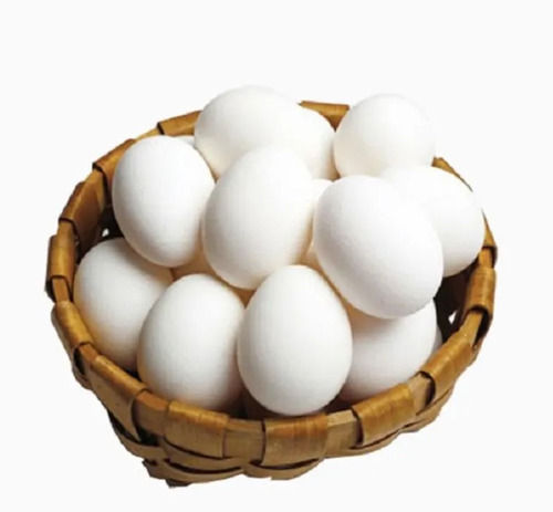 21 Oz Oval Natural And Fresh Healthy Chicken Poultry Eggs