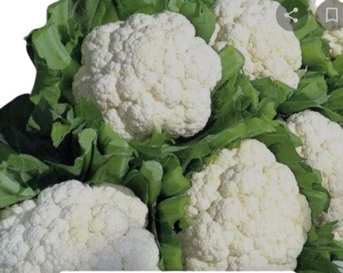 Round Farm Fresh Cauliflower