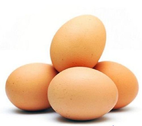 Brown Turkey Poultry Chicken Eggs, High In Protein And Vitamin