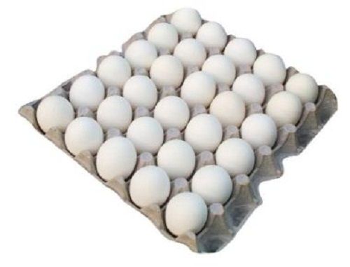 Healthy And Calcium Protect Farm Fresh White Poultry Eggs, Rich In Protein