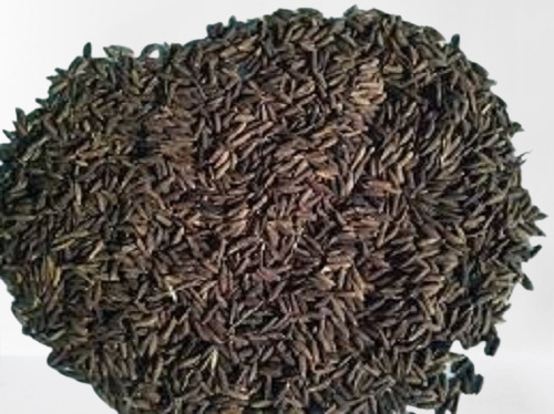 ताजा और स्वस्थ लंबे दाने वाला बासमती चावल