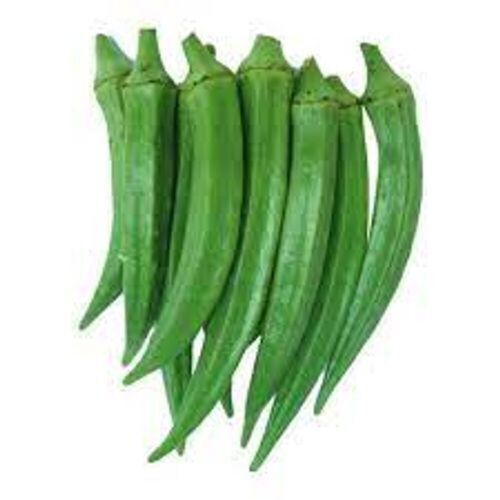 Mild Grassy Flavor Delicious Long Vitamins Green Fresh Raw Lady Finger