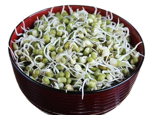 Mung Bean Sprouts