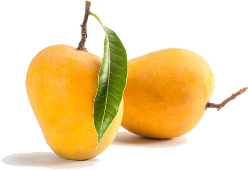 Oval Shape Good For Health Taste Rich In Vitamins A C Yellow Fresh Mango