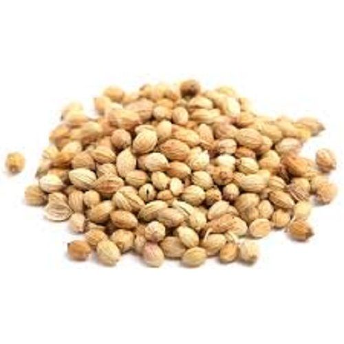 Better Quality Hybrid And Edible Spices Broadcasting Coriander Seeds