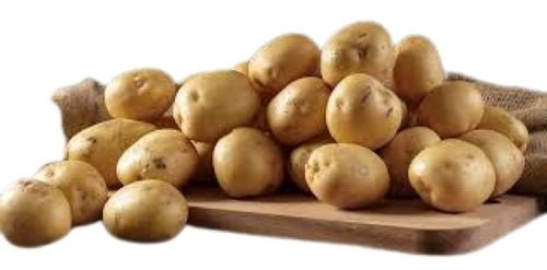 Farm Fresh Round Shape Cold Place Preserved 83% Moisture Raw Potato