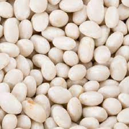 Organic And Dried White Kidney Bean