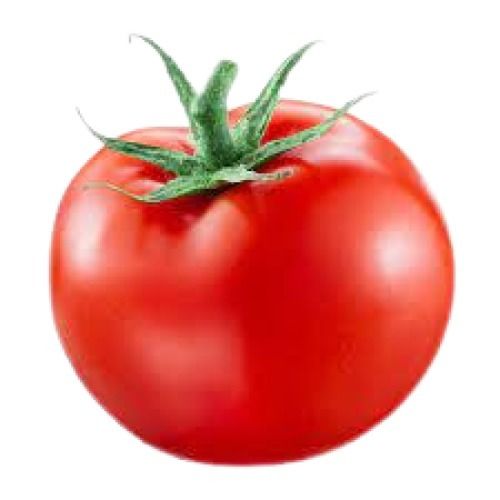 94% Moisture Content Naturally Grown Farm Fresh Round Shape Red Tomatoes Shelf Life: 3 Days