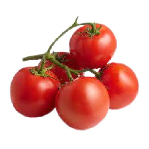 Indian Origin 94.4 % Moisture Fresh Round Shape Red Tomato Preserving Compound: Cool Place