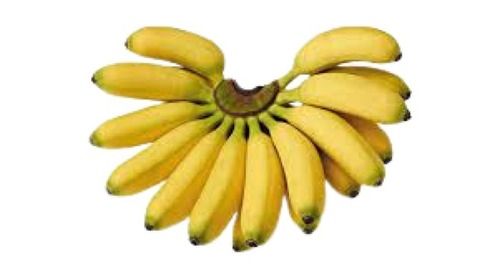 Indian Origin Yellow 5 Inch Small Shape Banana