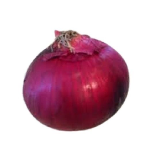 Healthy Farm Fresh Origin Naturally Grown Vitamins Rich Red Onion