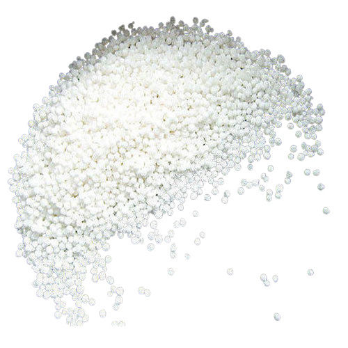 White Dry Sago Seed