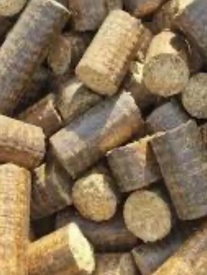 bio coal