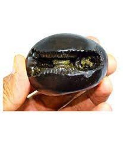 Galvanized Black Stone Shri Laxmi Narayan Shaligram From Nepal Gandaki Rever