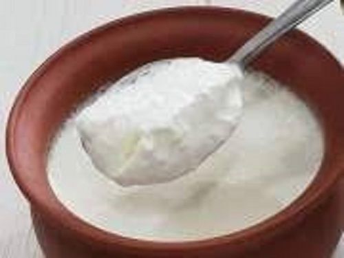 Hygienically Packed Original Flavor Fresh Curd For Adult And Children