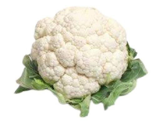 Potato Round Shape Fresh Naturally Grown Nutritional Raw Cauliflower