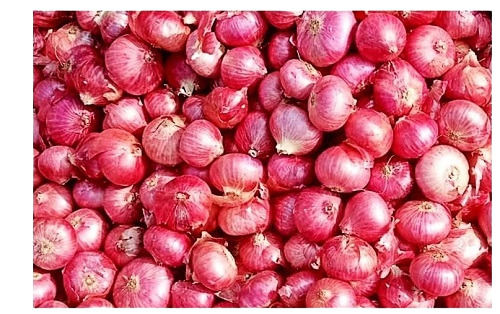 10 Kilogram Pack Commonly Cultivated A Grade Fresh And Natural Onion