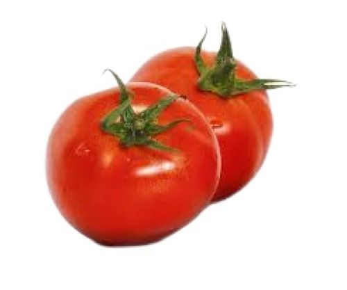 Fresh Naturally Grown Round Shape Raw Red Tomato