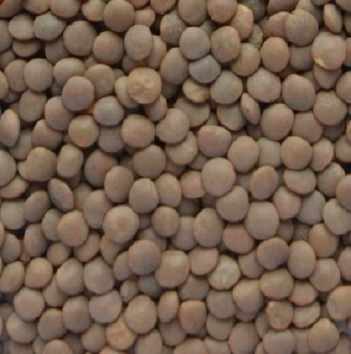 Fresh And Hygienic Prepared Commonly Cultivated Dried Splited Masoor Dal High In Protein