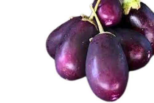 Naturally Grown Farm Fresh Oval Healthy Raw Brinjal Moisture (%): 10.25%