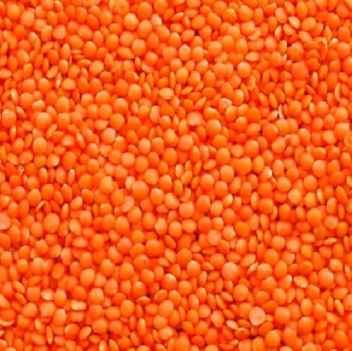 Pure And Natural Dried Semi Round Masoor Dal Commonly Cultivated Food Grade