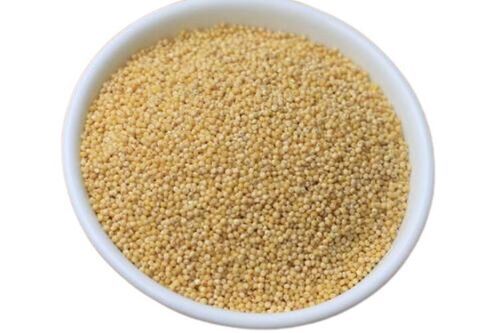 Hygienically Packed Rich In Vitamins Fiber High Nutritious Healthy And Tasty Millet