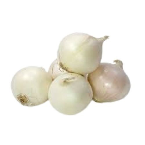 Round Shape Naturally Grown Fresh White Onion