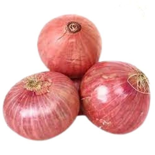 A Grade Naturally Grown Round Shape Fresh Onion Moisture (%): 80%