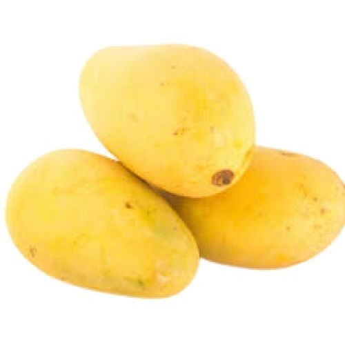 Naturally Grown Indian Origin Oval Shape Fresh Sweet Mango