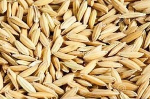 Nutrients And Medium Sized Whole Grain Dried Paddy Rice