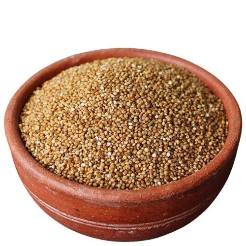 Rich In Protein And Vitamin Naturally Grown Millet
