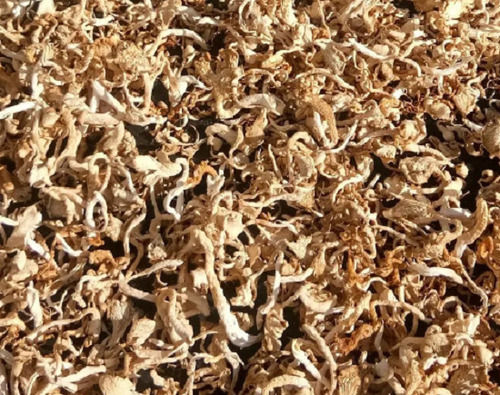 1 Kilogram Commonly Cultivated Healthy Food Grade Dried Mushroom