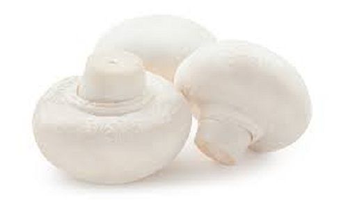 White Medium Round Cultivated Whole Fresh Button Mushrooms