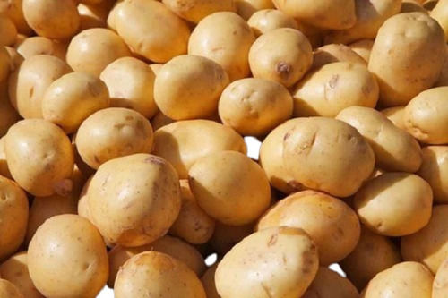 Natural Food Grade Commonly Cultivated Raw Fresh Potato