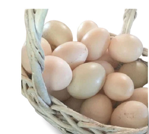 65 Mm Hatching Variety Fresh Country Duck Egg, 70 Grams Weight