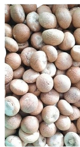 प्योर एंड नेचुरल कॉमन कल्टीवेटेड बी ग्रेड ड्राइड रॉ होल बेटल नट्स