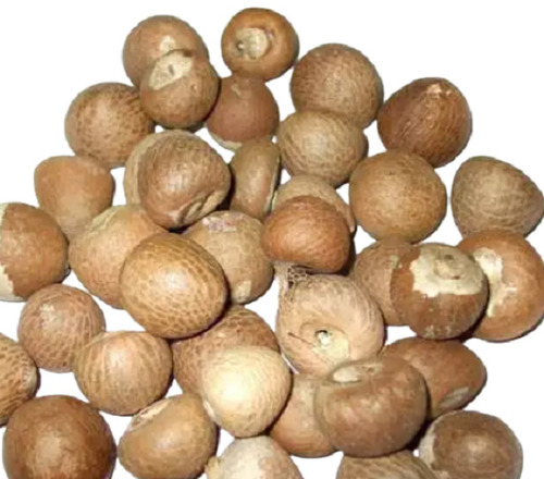 सामान्य शुद्ध और प्राकृतिक रूप से उगाए जाने वाले बी ग्रेड कच्चे सुपारी