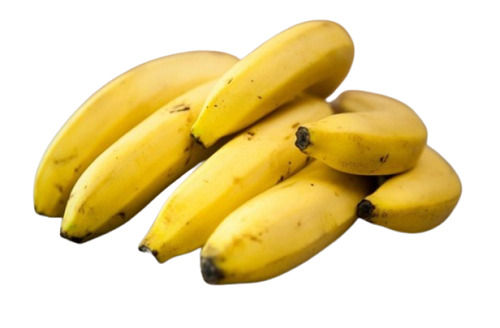 Commonly Cultivated Pure And Fresh Sweet Taste Yellow Banana Fruit
