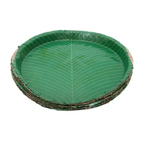 Green 10 Inches Biodegradable And Non-Recyclable Round Disposable Paper Plate