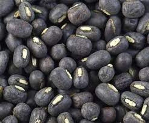 Common Rich In Nutrients Natural Pure Black Gram