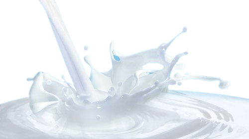  स्वाद से भरपूर कोई अतिरिक्त प्रिजर्वेटिव नहीं सफेद ताजा भैंस का दूध