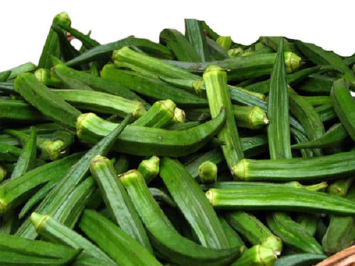Farm Fresh Green Lady Finger Vegetables Enrich With Fiber Nutrients