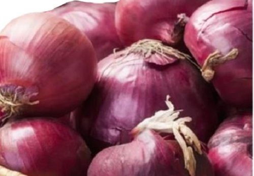 कीटनाशक मुक्त सामान्य रूप से खेती की जाने वाली गोलाकार ताजा प्याज की नमी (%): 5%