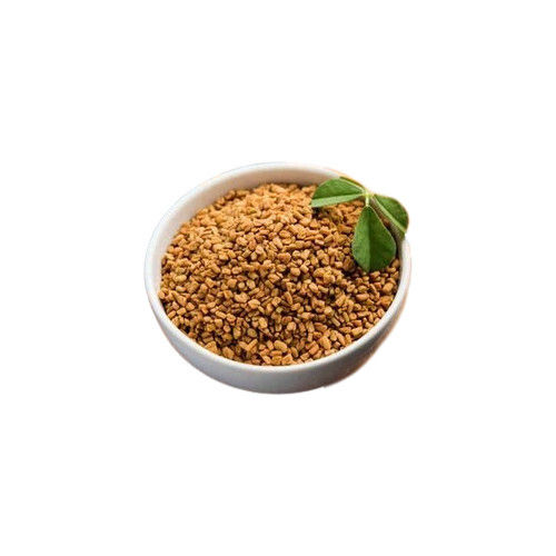 Highly Nutritious Fresh Natural Yellow Fenugreek Seed