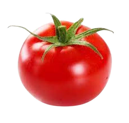 High In Protein Red Fresh Tomato