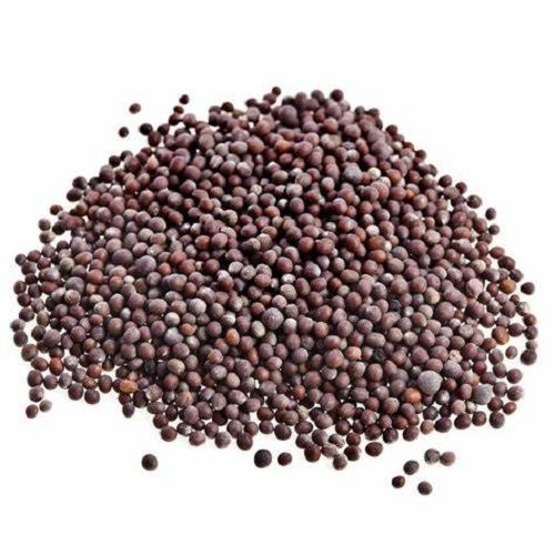 Health Promoting Anti Oxidant Dried Natural Black Sarson/Mustard Seeds
