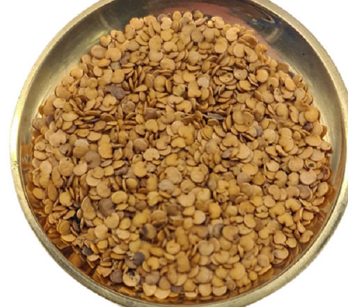 Pure And Natural Commonly Cultivated Dried Agricultural Brinjal Seeds