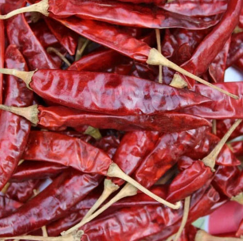 Pure And Dried Chemical Free Spicy Red Chilli